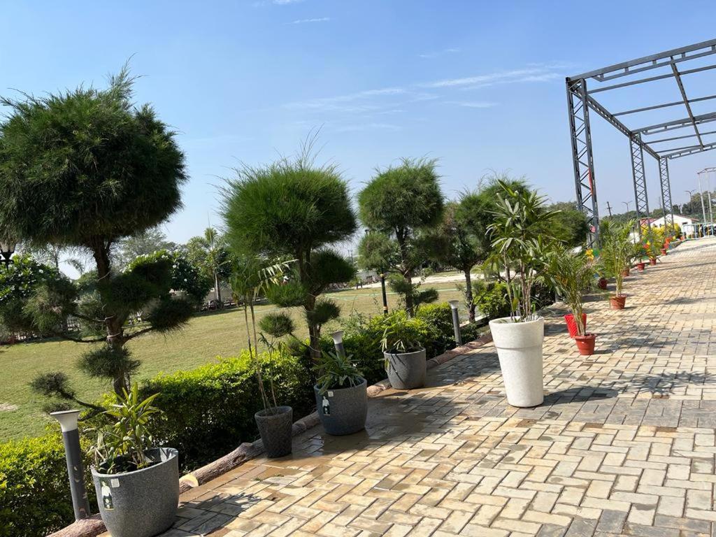 Hotel Eco Park Rewa Εξωτερικό φωτογραφία