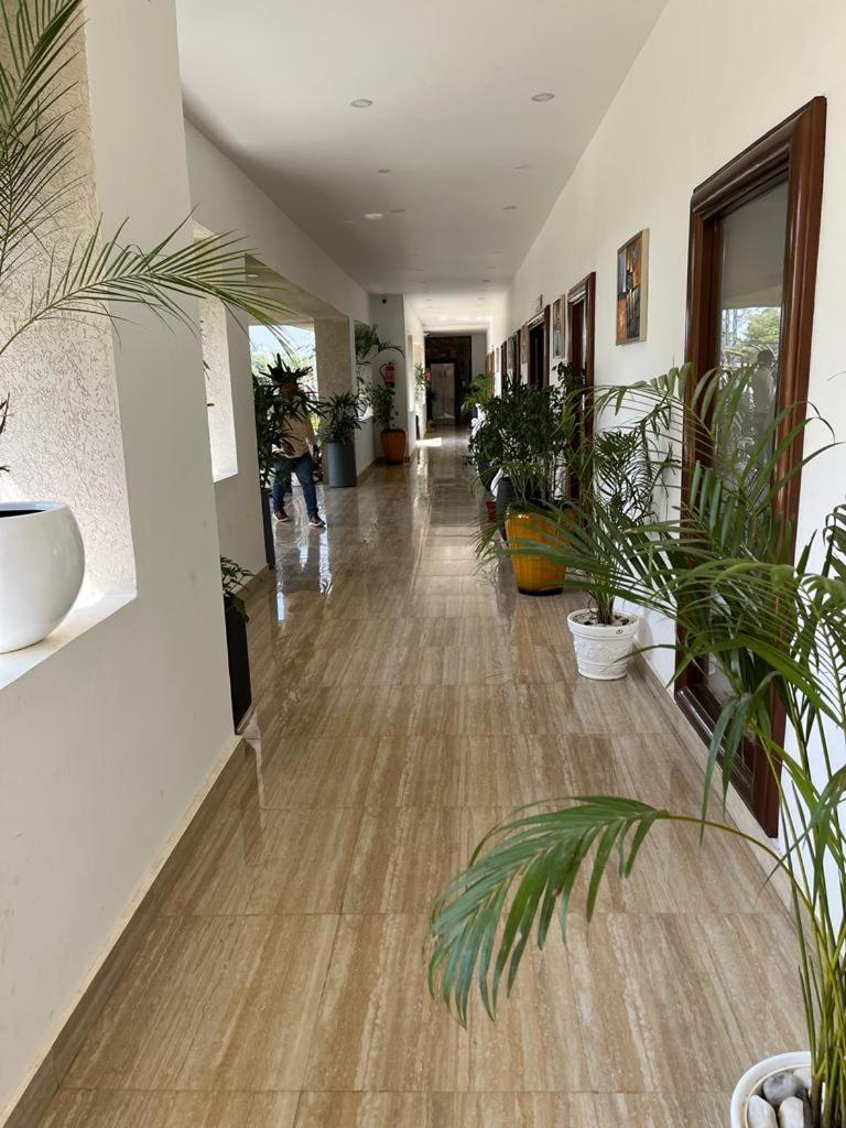 Hotel Eco Park Rewa Εξωτερικό φωτογραφία